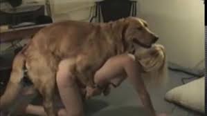 تنزيل سكس حيوانات – افلام نيك بنات من كلب سكس حيونات اتش دي مترجم