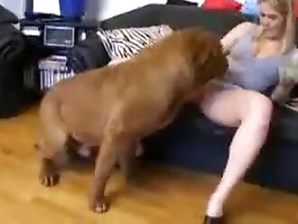 نيك حيوانات 2021 كلب مع بنت والكلب ينيكها بأوضاع جديدة Zoo Porn