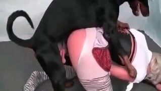 كلب ينيك فتاة تحميل سكس كلاب فيديو الكلب ينط الطيز PORN ANIMALS ...