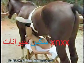 حصان يقذف علي صدر بنت حصان ينيك بنت سكس حيوانات xnxx - سكس بنات